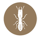 ABS-Termite-and-Border-Proof