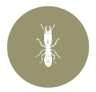 Fixit Termite Proof