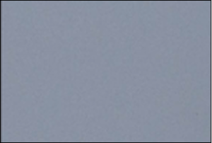 OAK GREY (SAB-06)